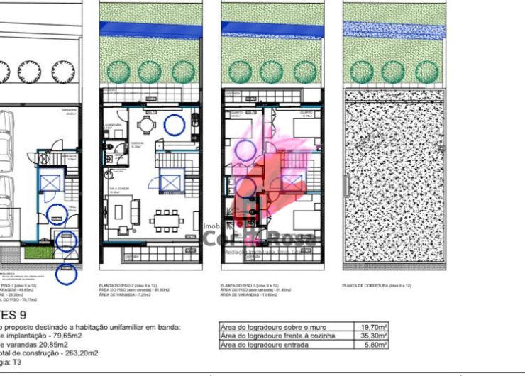 planta-lote-9